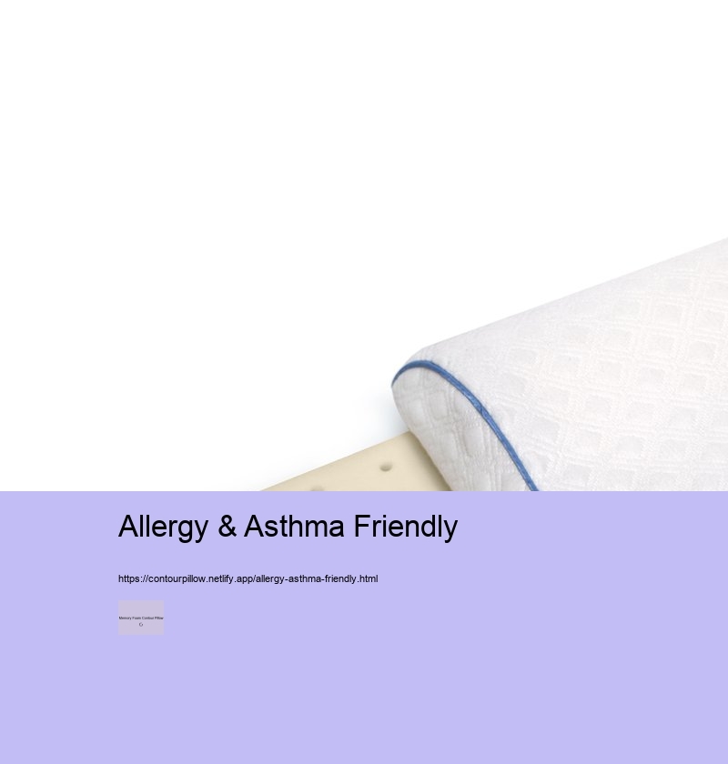 Shopping Tips for Buying a Memory Foam Contour Pillow 